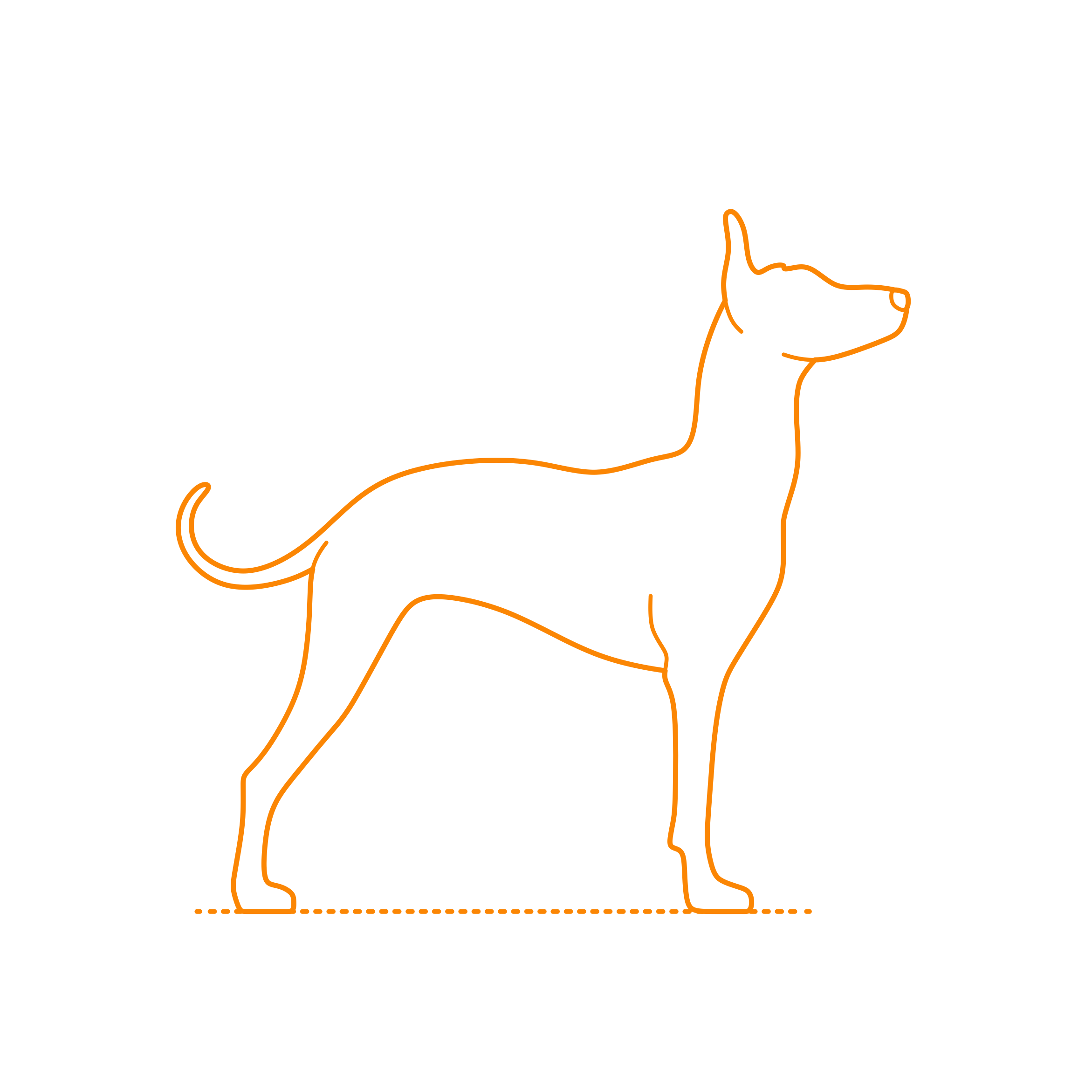 Animals Dogs Xoloitzcuintli Contour Svg Vector Free Vectors